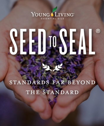 ae yl stos landing page apoyo