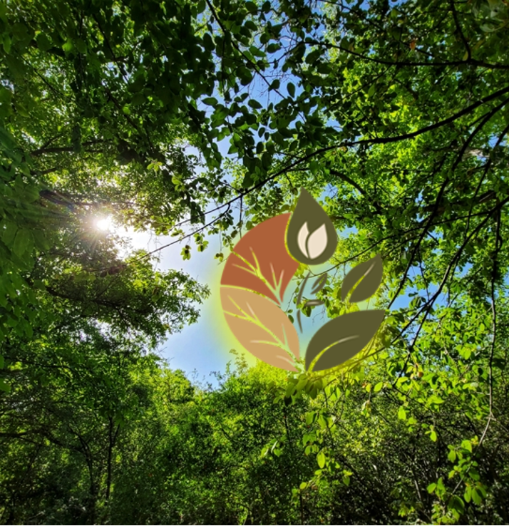 naturaleza y salud vicente estrada